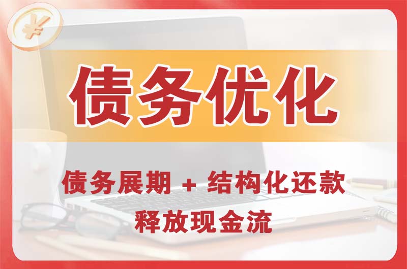 贞丰债务优化