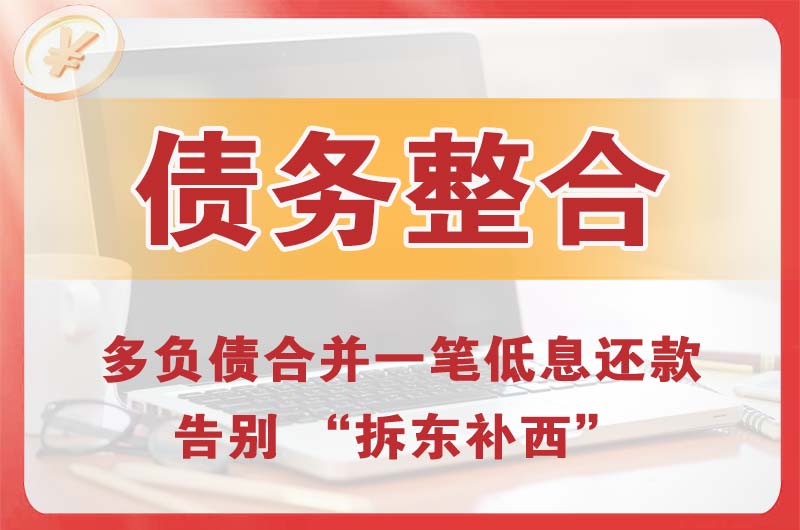 贞丰债务整合