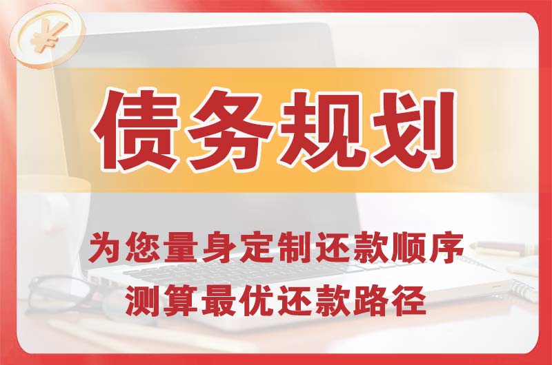 贞丰债务规划